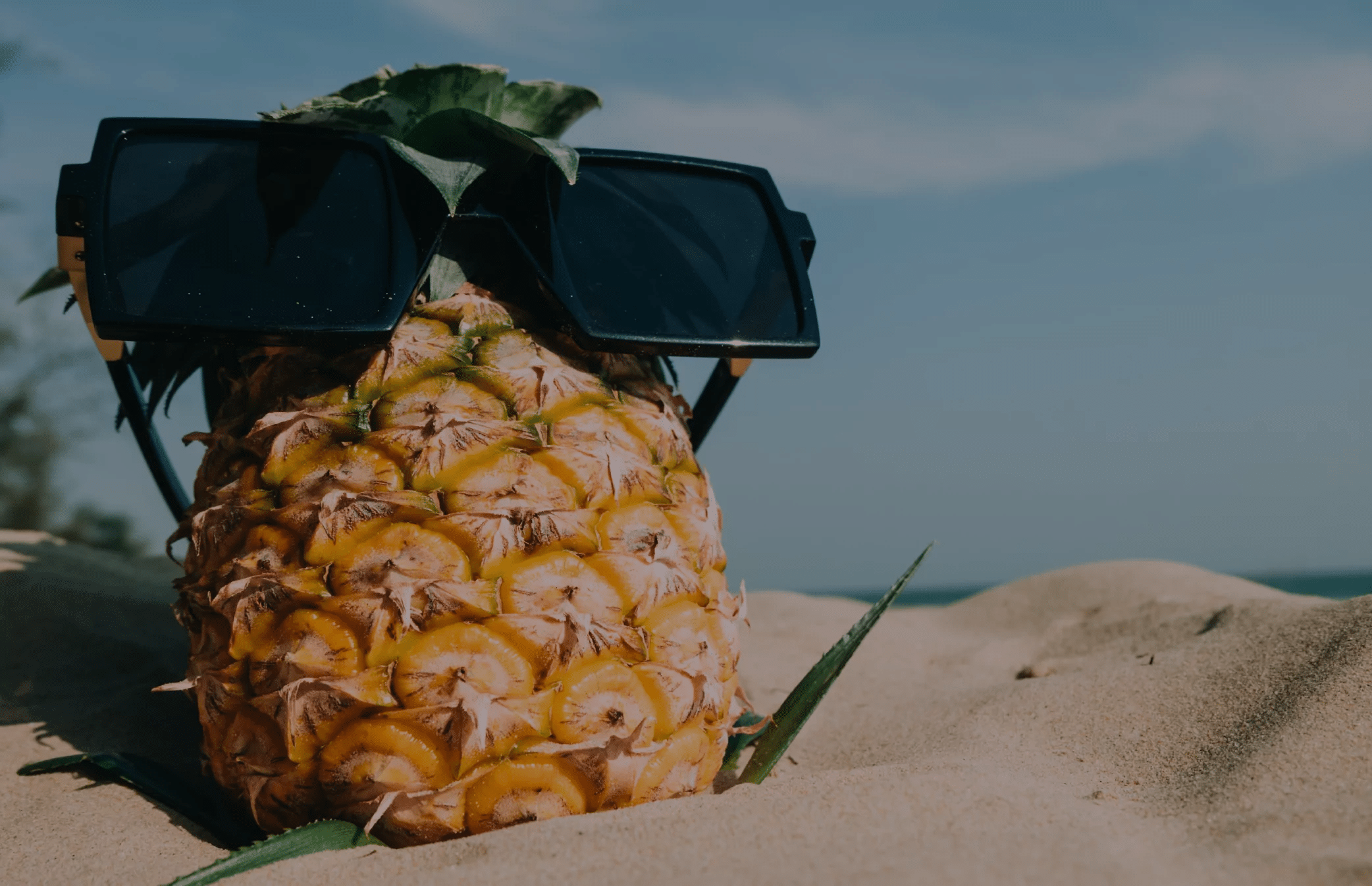 Sandstrand SEO Bilder