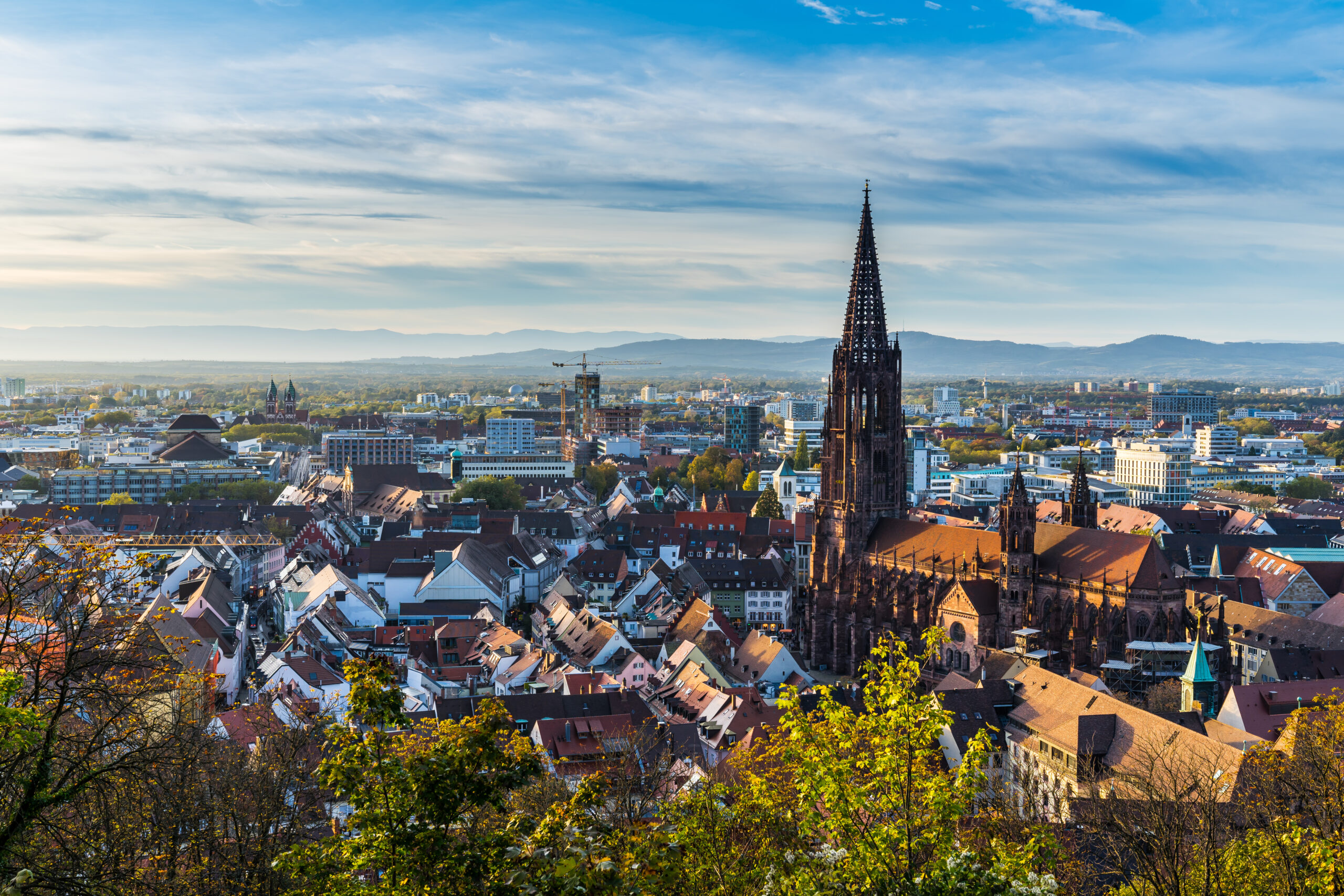 Blick auf Freiburger Münster